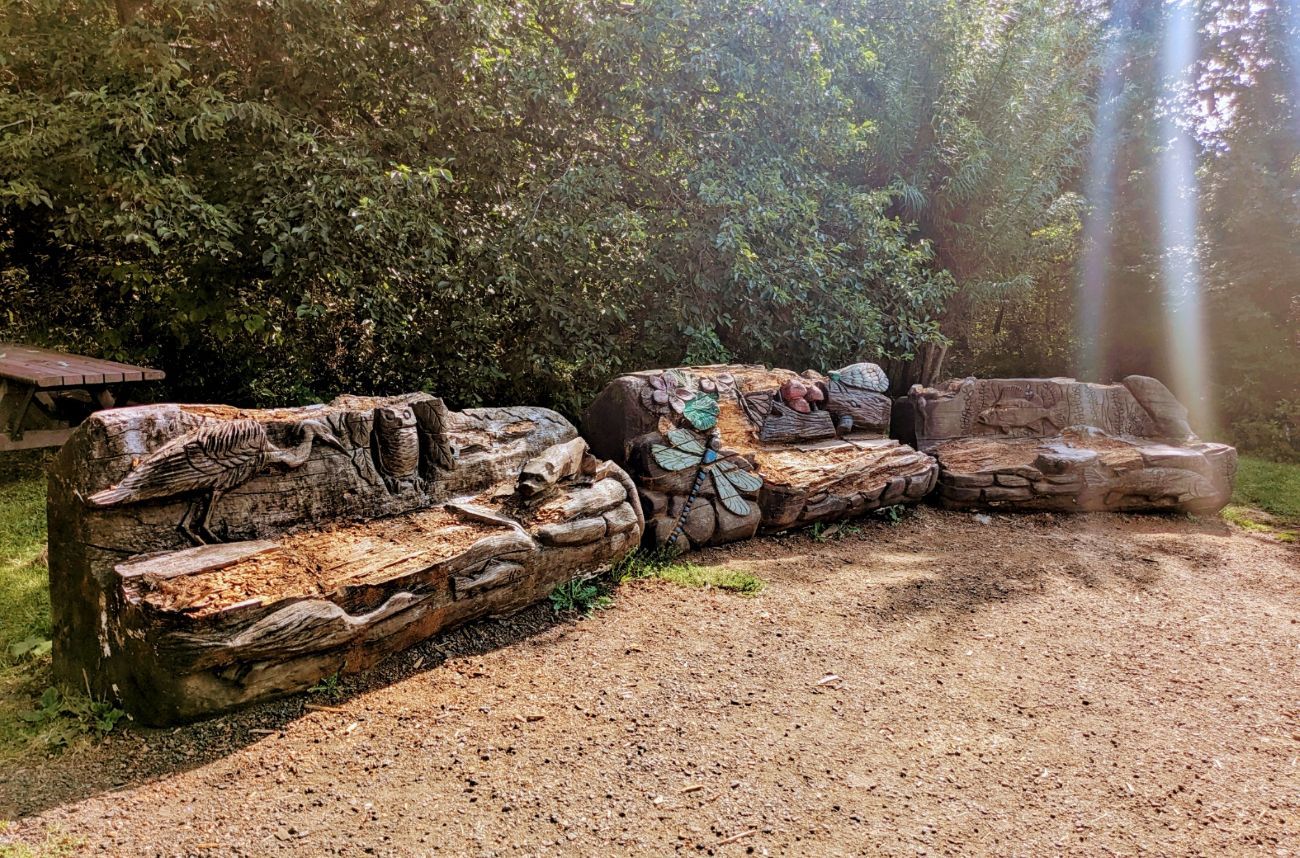 carved tree trunk benches